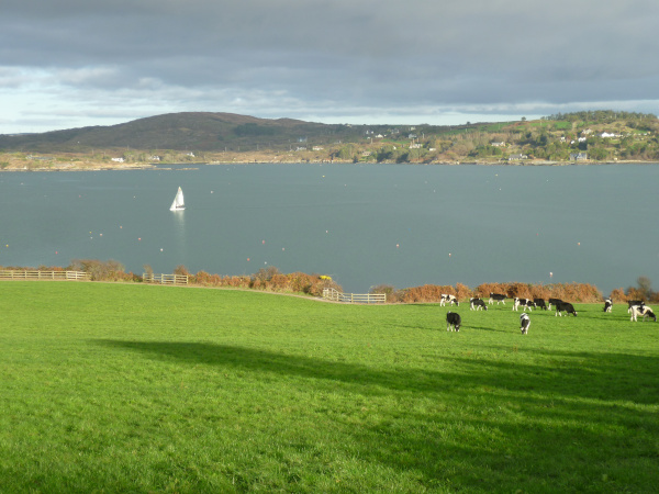 schull